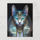 Search for busted postcards Cat