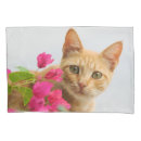 Search for funny animals pillowcases For her