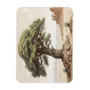 Search for pine tree magnets Nature