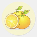 Search for cute orange fruit stickers oranges