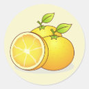 Search for cute fruit stickers Oranges