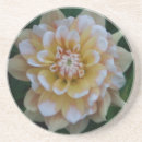 Search for dahlia flower coasters Blossom