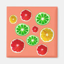 Search for fruit patterns magnets Fruity