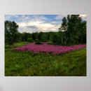 Search for main posters Floral