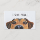 Search for pet photography business cards Pets