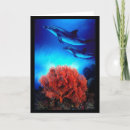 Search for dolphin cards Colour