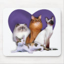Search for breed rescue electronics Cat