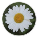 Search for daisy knobs and pulls Photography