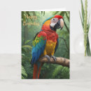 Search for macaw birthday cards Wildlife