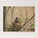 Search for cardinal puzzles Wildlife