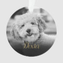Search for elegant pet memorial ornaments Gold