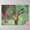 Search for nectar posters Bird