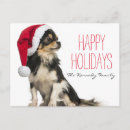 Search for belgium christmas cards No people