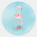 Search for pink watercolor flamingo stickers Cute