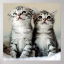 Search for baby bedroom posters Cute animals
