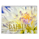 Search for dahlia calendars Photography