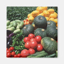 Search for variety magnets Horizontal
