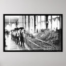 Search for eventing photo posters Photograph