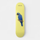 Search for macaw skateboards Bird