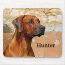 Search for ridgebacks electronics Dog