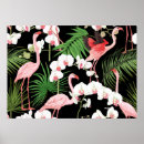 Search for tropical plants posters Hawaiian