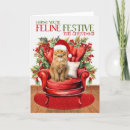 Search for ginger cards Pets