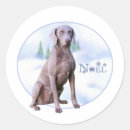 Search for weimaraner stickers Breed