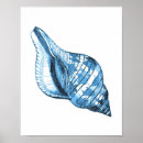 Search for white sea shells posters Elegant