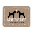 Search for pets 4x6 invitations Dog
