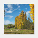 Search for farm magnets Meadow
