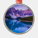 Search for banff christmas tree decorations Forest