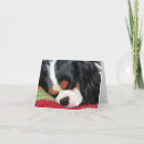 Search for tri colour cards Puppy