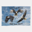 Search for soar Birds