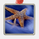 Search for hilton head christmas tree decorations Beach