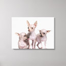 Search for chihuahua art Dogs