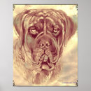 Search for mastiff posters Brindle
