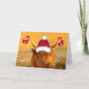 Search for scotland christmas cards Funny