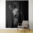 Search for cute llamas art Trendy
