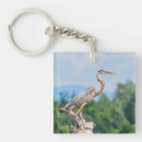 Search for wading key rings Wildlife