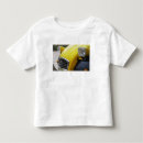 Search for citroen tshirts France