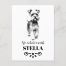 Search for schnauzer postcards Miniature schnauzer dog
