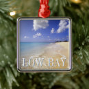 Search for paradise christmas tree decorations Caribbean