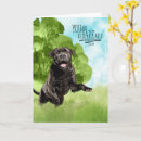 Search for cane corso cards Pets