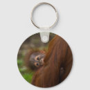 Search for ap key rings Cute