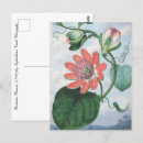 Search for passionate postcards Vintage