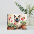 Search for siamese postcards Cat