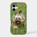 Search for yorkie puppy iphone cases Cute