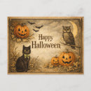 Search for antique halloween postcards Black cat