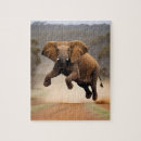Search for hop puzzles Animal