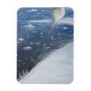 Search for high seas magnets New zealand